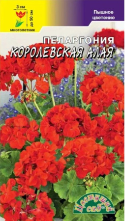 Семена Пеларгония Королевская Алая Цветущий сад